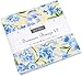 Summer Breeze VI Charm Pack by Moda Classics; 42-5 Inch Precut Fabric Quilt Squares