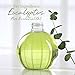 I & Candle Aromatherapy Soy Wax Scented Candles (Eucalyptus)