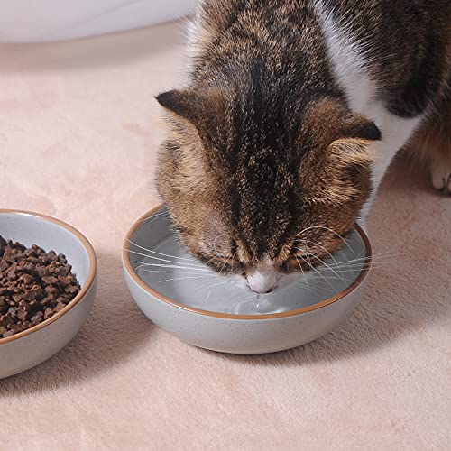 Ceramic Cat Bowls, Cottagecore Cat Food Dish Gray, 5.3 in Shallow Pet