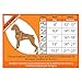 All Weather Voyager Step-in Mesh Harness for Dogs / Cats by Best Pet Supplies - Breathable Material - Double Security Metal D-Rings + Strong velcro Fastener- Best Pet Essentials- Unique Dog Owner Gifts (Orange - Small)