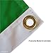 College Flags & Banners Co. Irish Shamrock Banner Flag