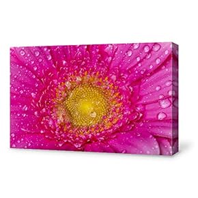 Canvas Wall Art for Living Room,Bedroom Home Artwork Paintings Close-up of Flower Ready to Hang - 12x18 inches