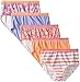 Fruit of the Loom Little Girls' Cotton Stretch Brief (Pack of 5)