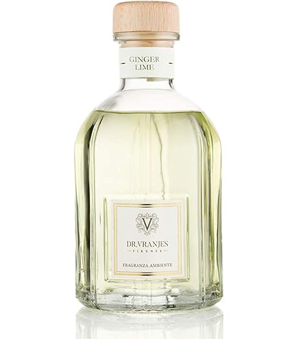 Amazon.com: Dr. Vranjes Aria Room Diffuser 250ml : Health