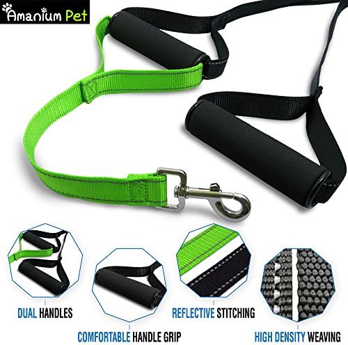 Dog Leash By Amanium Pet: Durable Walking Pet Leash With High Density Weaving For Large Dogs Up To 50lb – Comfortable Dual Handle With Reflective Stitching, Firm Grip Training