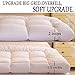 Shilucheng Cooling Mattress Topper, Extra Thick 1200 GSM Down Alternative Fill Washable, Soft Mattress pad for Back Pain, Bed Mattress Topper with 8-21