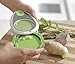 KitchenIQ Ginger Grater Tool,White/Green