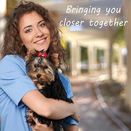 Otterly Pets Puppy Dog Pet Rope Toys For Small to Medium Dogs (Set of 4)