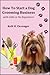 How to Start a Dog Grooming Business With Little or No Experience