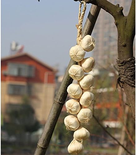 Laixing 12 Head Artificial Garlic Bunch Branch Decoration Garden Indoor Hanging Plastic