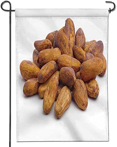 AmaPark Glory Garden Flag,raw cacao beans isolated on white background Holiday Decoration Double Sided Flag 12" x 18"