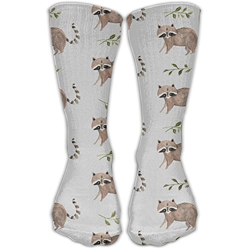 Raccoon Socks Kritters in the Mailbox Raccoon Sock