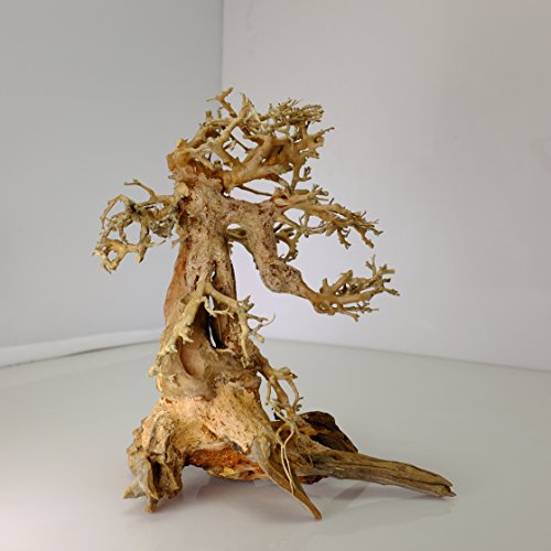 image for Bonsai Driftwood Aquarium Tree AM (8 Inch Height x 6 Inch Length) Natu