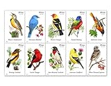 USPS Forever Stamps Songbirds Booklet of 20