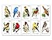 USPS Forever Stamps Songbirds Booklet of 20