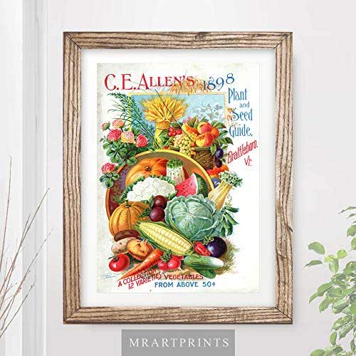 TRADITIONAL COUNTRY KITCHEN ART PRINT Vintage Fruit