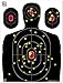 Big Dawg Targets - 18 X 24 Inch Silhouette Reactive Splatter Shooting Target