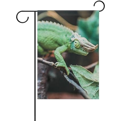 Amazon Com Unique Reptile Lizards House Garden Flag 12x18 Inch