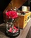 HOMESEASONS Enchanted Rose,Beauty and The Beast Red Rose, Pre-Lit Silk Rose in Glass Dome (Red)