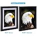 Solid Wood Picture Frames 8x10 - Hang on Wall Stand Hook Accessory Fashion Wooden Frame Stand Pictures Photos Landscape Family Portrait 8x10 Picture Frame without Mat/ 6x8 Frame with Mat 1 pack Black