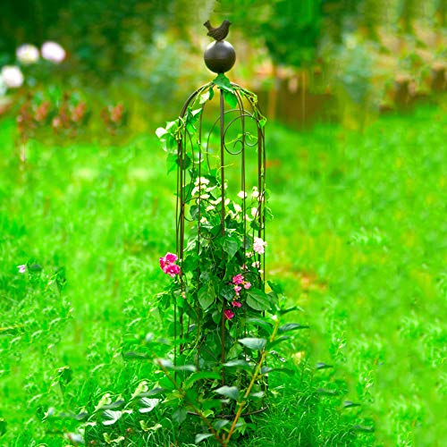 CJSWT Rankhilfe, Rankobelisk,Rankgerüst Kletterpflanzen,Garten Obelisk Metall Trellis Blumenunterstützung Für Klettern…