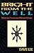 Bright from the Well: Northern Tales in the Modern World by 