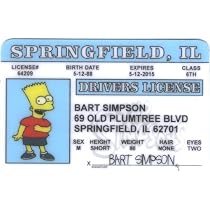 Amazon.com: Signs 4 Fun Bart Simpson Fun Fake ID License : Automotive