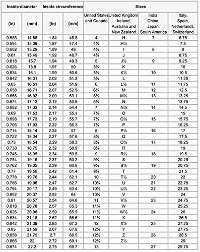 N / A Dog Cat Paw Print Ring Personalized Engraving - Sterling Silver Custom Name Pet Lover Jewelry Gift for Girls Teens Women Men