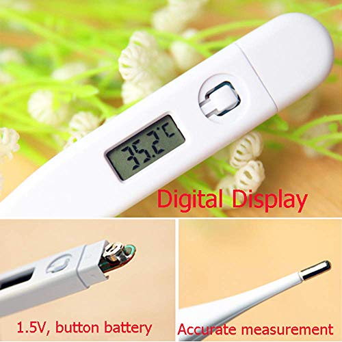 Best Digital Thermometer, Rectal and Oral Thermometer for Adults and