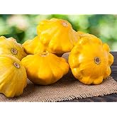 Golden-Yellow Pattypan Patisson Scallop Squash Custard Marrow About 20 Seeds for Planting