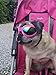 Pet Dog Sunglasses Water-Proof Multi-Color Protection Goggles Updated Version (B)