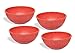 EVO Sustainable Goods 16 oz. Bowl Set, Red