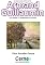 Livro Apresentando pinturas de Armand Guillaumin Com display TFT programado no Arduino
