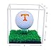 Better Display Cases Clear Acrylic Golf Ball Display Case with Turf Base (A046-CTB)