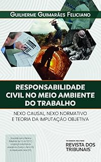 Livro Responsabilidade civil no meio ambiente do trabalho: nexo causal, nexo normativo e teoria da imputação objetiva