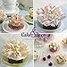 Cake&Deco Russian Piping Tips Set - 78pcs Cake Cupcake Decorating Supplies Kit - 38 Icing Frosting Nozzles (2 Leaf Tips) - 36 Baking Pastry Bags - 2 Couplers - Silicone Bag - Cotton Bag - Gift Box