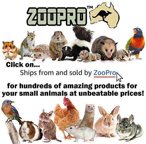 Double Hammock (Rainbow) - Hanging Fleece Cage Accessory Toy for Sugar Gliders, Marmosets, Rats, Hamsters, Flying Squirrels, Ferrets, Birds, Chinchillas, Parrots - Hammock, Tower, Bed, Nest Pouch
