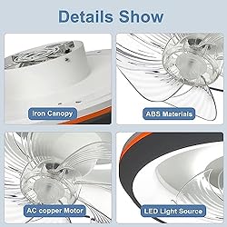 DLLT Modern Ceiling Fans with Lights, 360-Degree