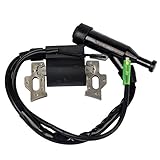 HIFROM Repalce Ignition Coil for Honda Gx110 Gx120 Gx140 Gx160 Gx200 5.5hp 6.5hp Engine Generator Lawn Mower Motor