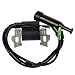 HIFROM Repalce Ignition Coil for Honda Gx110 Gx120 Gx140 Gx160 Gx200 5.5hp 6.5hp Engine Generator Lawn Mower Motor primary