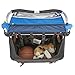 Burley Design Encore Child Bike Trailer, Blue