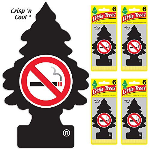 Little Trees auto air freshener, No Smoking, 6-Packs (4 Count)