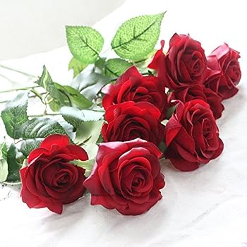 Image result for rose flowers