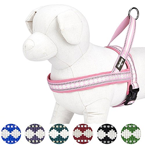 image for Blueberry Pet 7 Colors Soft & Comfy 3M Reflective Jacquard Padded Dog 