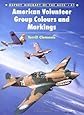 American Volunteer Group Colours and Markings (Osprey Aircraft of the Aces No 41)