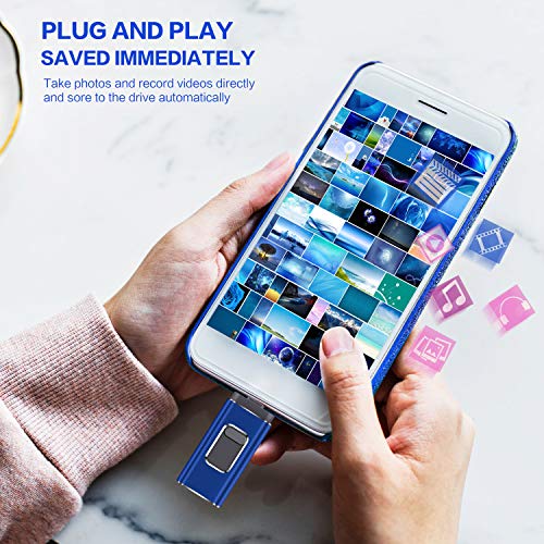 USB Flash Drive for iPhone 256gb Memory Stick LTY Photo Stick USB 3.0 Jump Drive Thumb Drives Externa Lightning Memory Stick for iPhone iPad Android and Computers (blue-256GB)