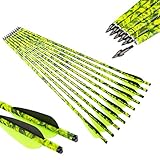 Pinals Archery 20" 22" Crossbow Bolts 22 20 inch