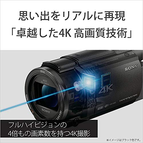 SONY 4K Camcorder Handycam FDR-AX60 1.8 f Black 64GB Zoom 20X FDR