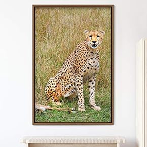 signwin Framed Canvas Wall Art Cheetah Animals Cheetah...