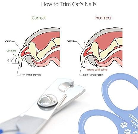 cat nail cutting